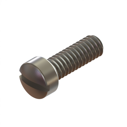 12-42 Screw 1/4-28X3/4 Slot Fillister Nylon Lock SS