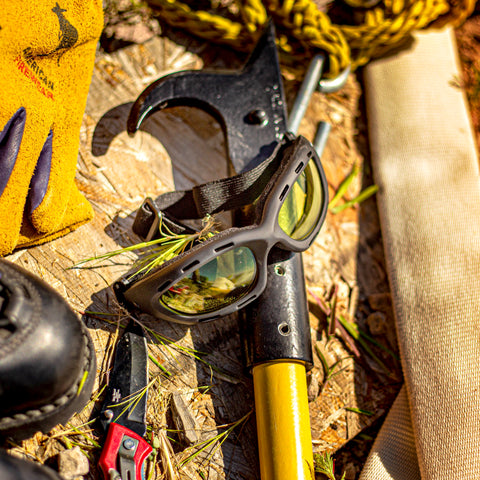 Wildland Goggles