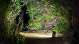 Nomad NOW Portable Scene Light